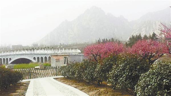 zhangz1503132.jpg