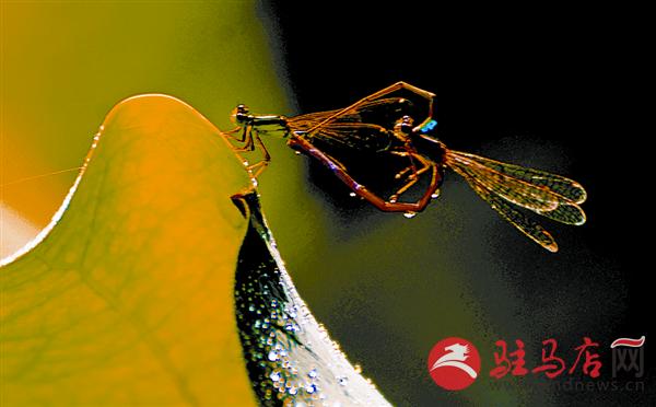 wangy170738.jpg
