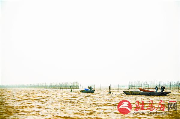 wangy17081.jpg