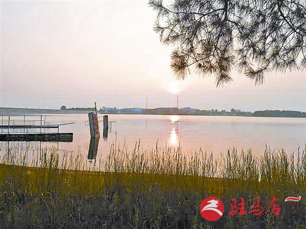 wangy170828.jpg
