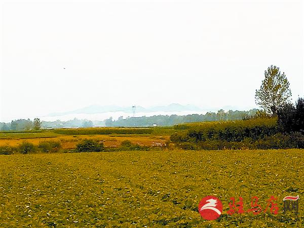 wangy170830.jpg