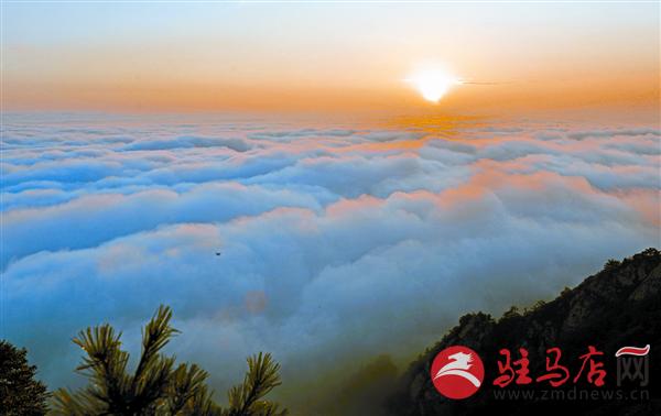 wangy170854.jpg