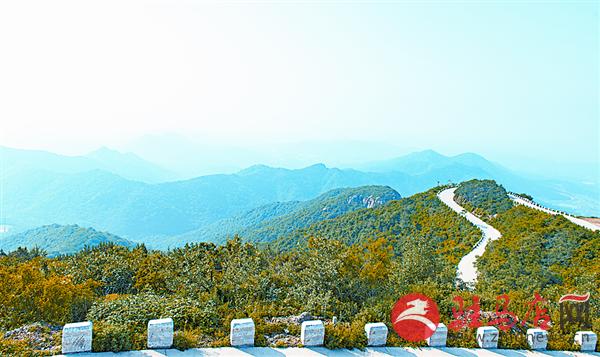 wangy170872.jpg