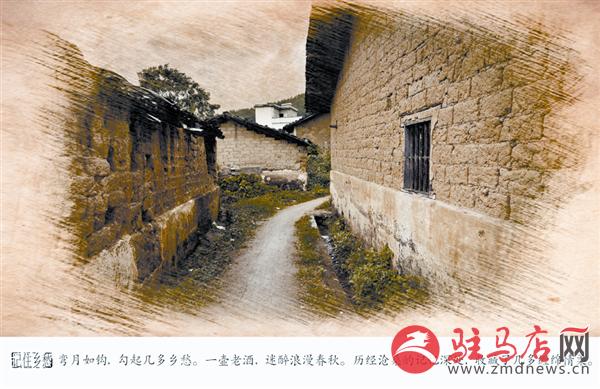 wangy170917.jpg