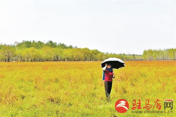 wangy18107.jpg