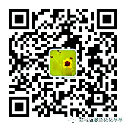 guols190340.JPG