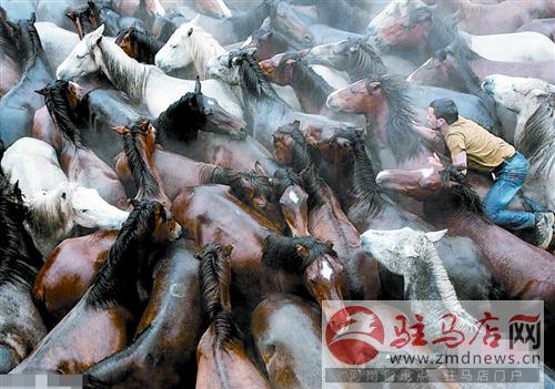 yangf140728.jpg