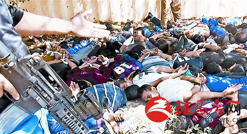 269932_res11_attpic_brief.jpg