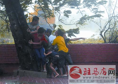 zhangxj140729.jpg