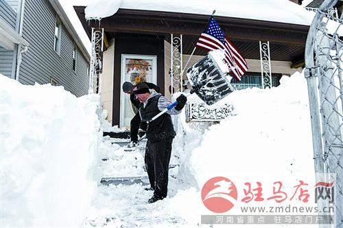 yangf1411107.jpg