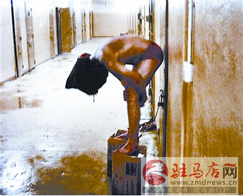 daih141232.jpg