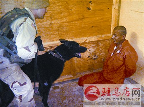 daih141231.jpg