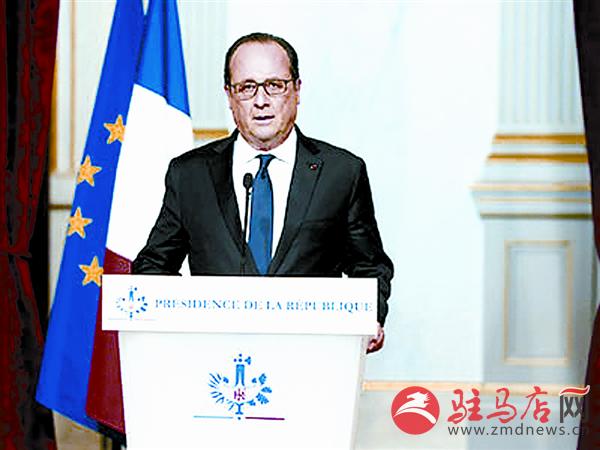 yangf151126.jpg
