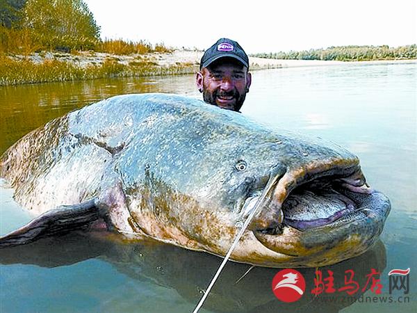 zhangxj151239.jpg