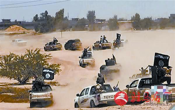 daih151247.jpg