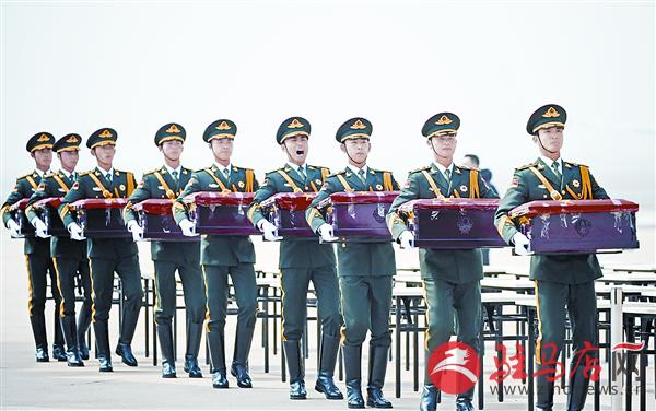 yangf1603130.jpg
