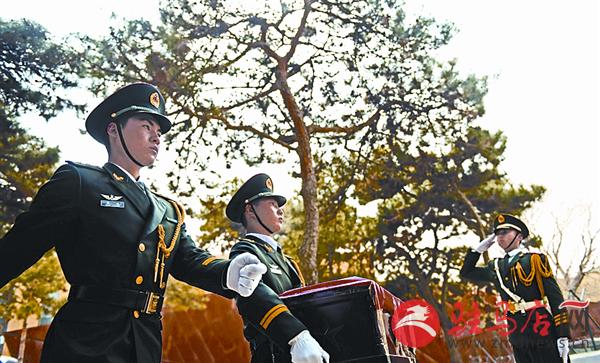 yangf1603131.jpg
