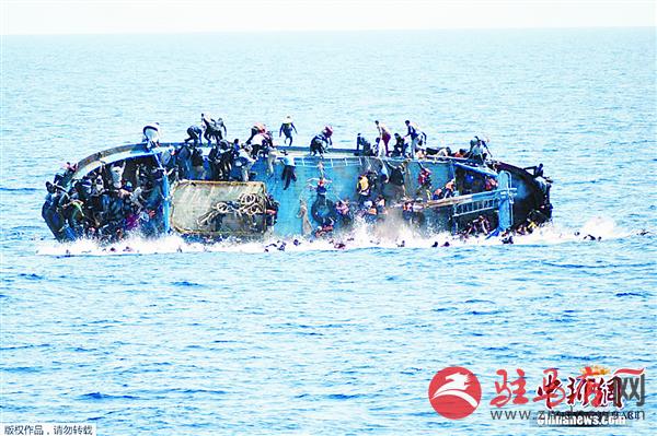 yangf160559.jpg