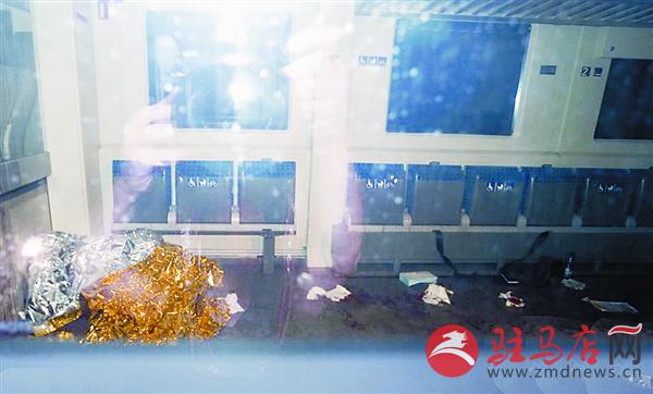 yangf160758.jpg