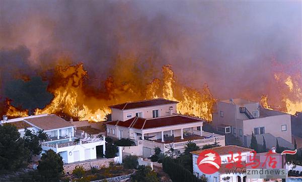 yangf1609311.jpg