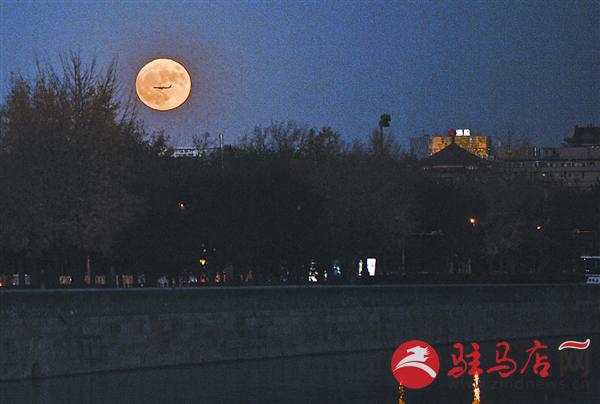 zhangxj161125.jpg