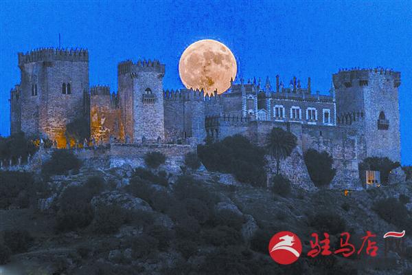 zhangxj161124.jpg