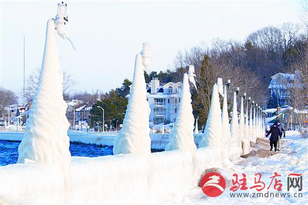 daih1612114.jpg