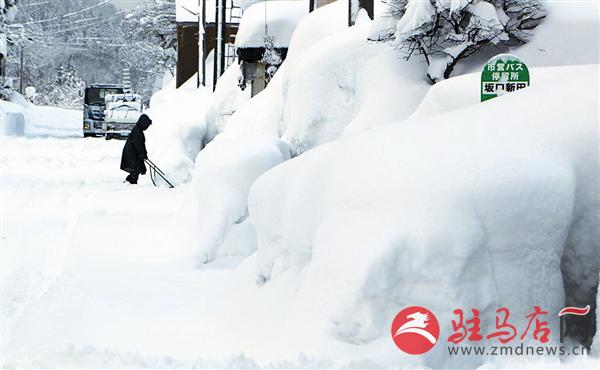 zhangxj170166.jpg