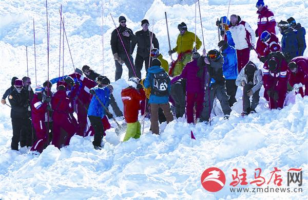 yangf1702491.jpg