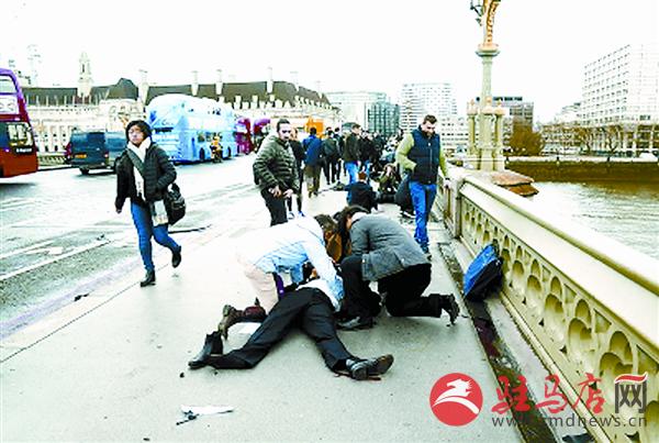 yangf170356.jpg