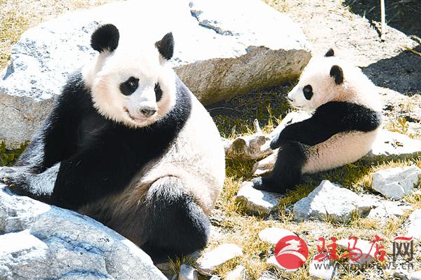 zhangxj17043.jpg