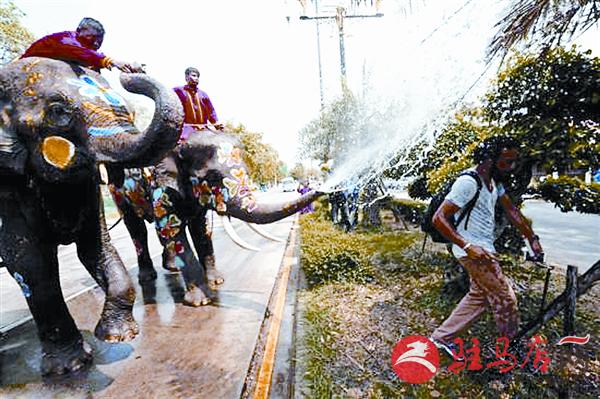 zhangxj170412.jpg