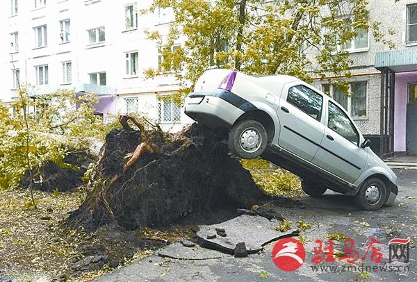 yangf170585.jpg