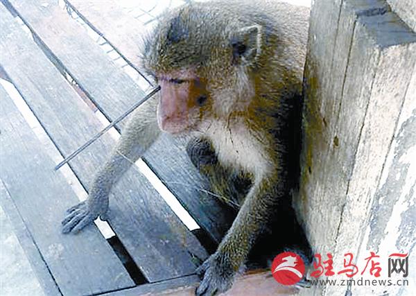 wangy170622.jpg