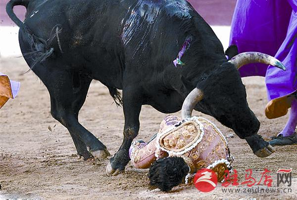 daih170653.jpg