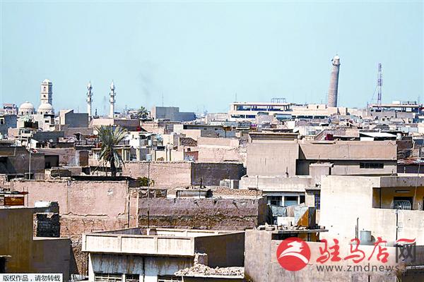 daih170672.jpg