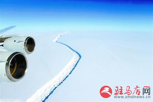 yangf170799.jpg