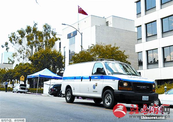 yangf170819.jpg