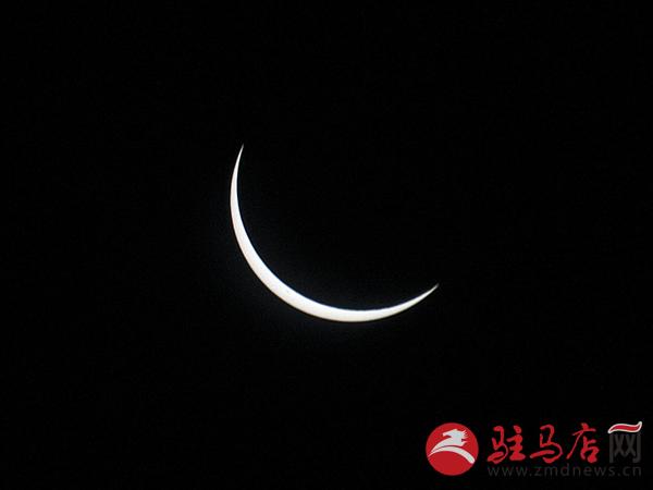 yangf1708151.jpg