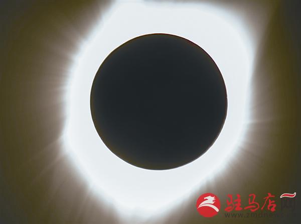 yangf1708149.jpg