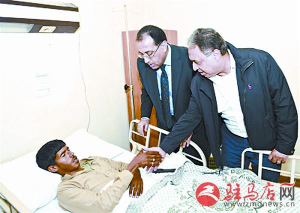 daih171181.jpg