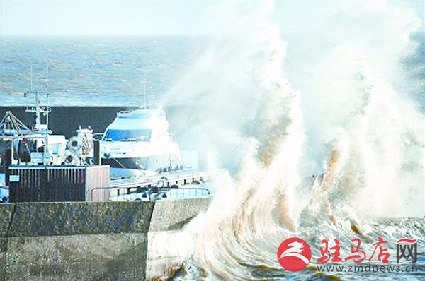zhangxj18013.jpg