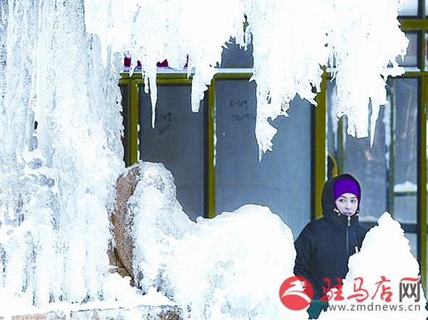 zhangxj180113.jpg
