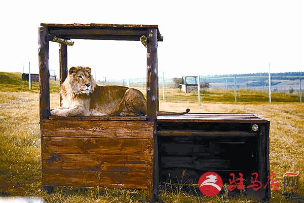 zhangxj180243.jpg
