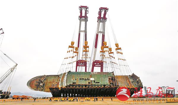 yangf180551.jpg