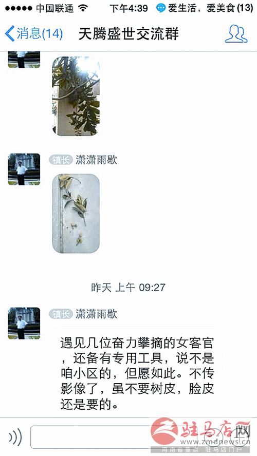 yinyy140620.jpg