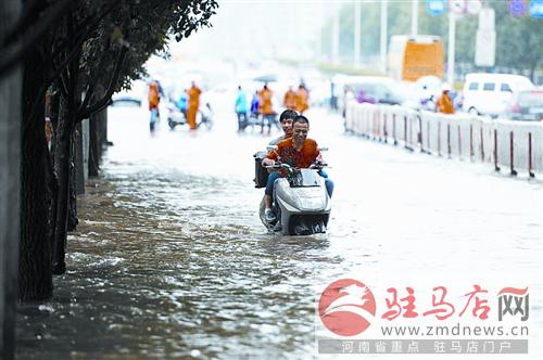 yangf140729.jpg