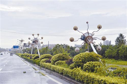 guols1407489.jpg