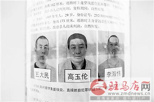 yangf140975.jpg