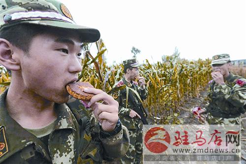 yangf140974.jpg